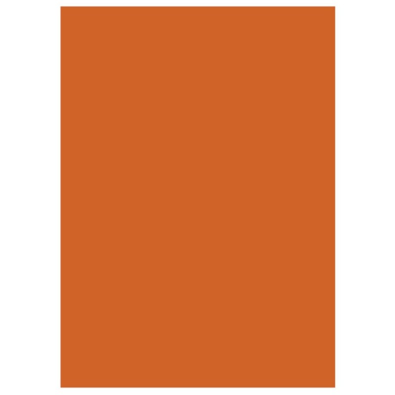 RAJA Sous-chemises 60g recyclées - 22 x 31 cm - Pastel Orange - Lot de 250