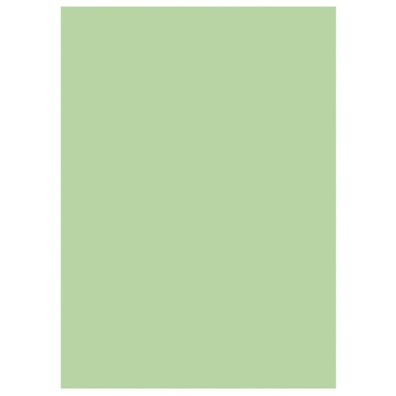 RAJA Sous-chemises 60g recyclées - 22 x 31 cm - Pastel Vert - Lot de 250