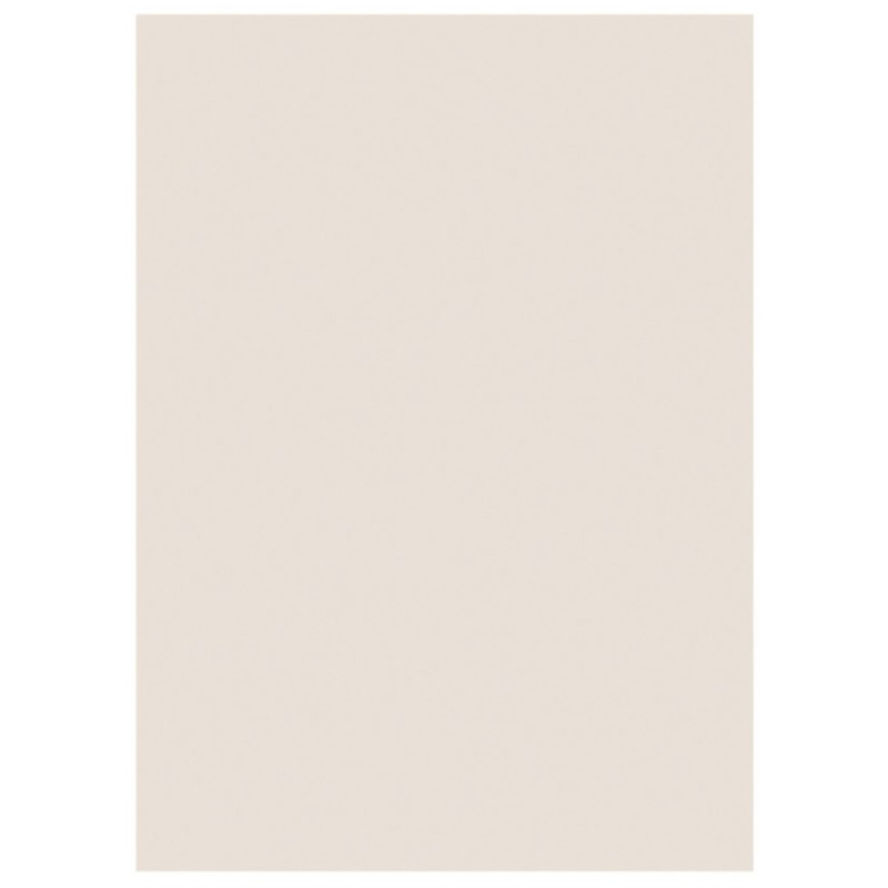 RAJA Sous-chemises 60g recyclées - 22 x 31 cm - Pastel Gris - Lot de 250