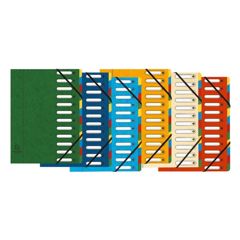 Exacompta Trieur à élastiques Harmonika à fenêtres - véritable carte lustrée - 12 divisions - Couleurs assorties