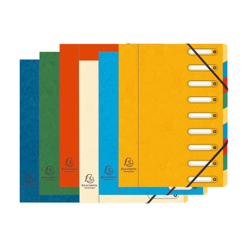 Exacompta Trieur à élastiques Harmonika à fenêtres - véritable carte lustrée - 9 divisions - Couleurs assorties