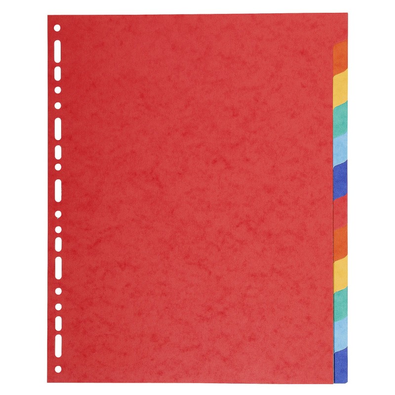 Exacompta Intercalaires neutres maxi A4+ en carte lustrée 225G - 12 divisions - Assortis