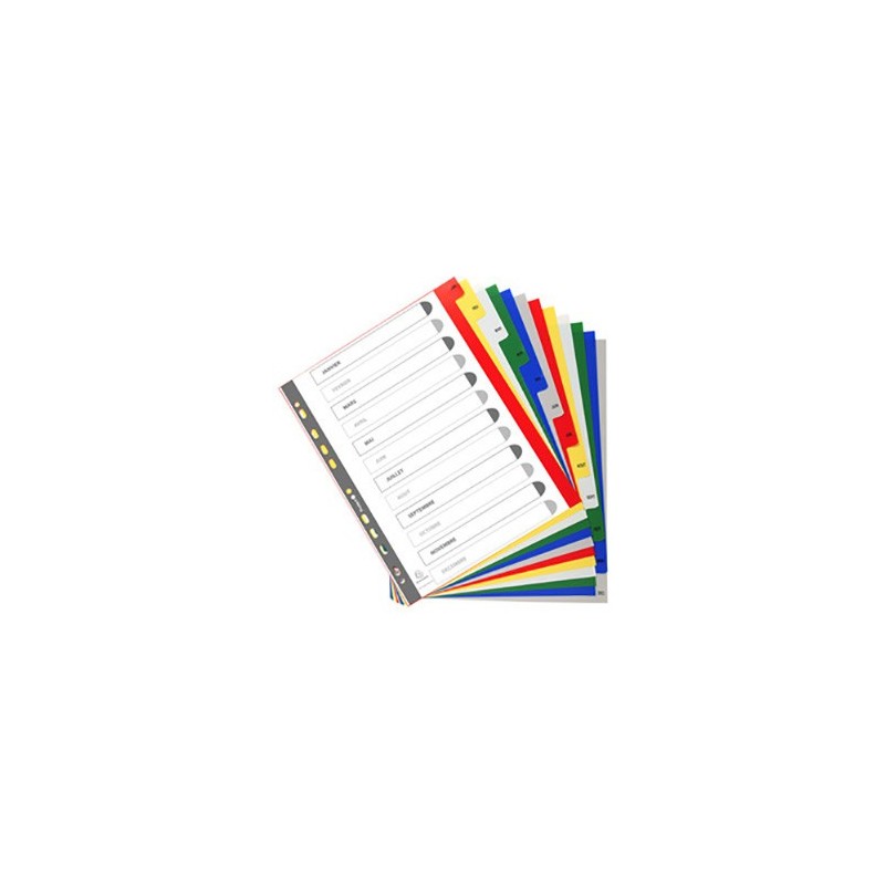 Exacompta Intercalaires mensuels maxi A4+ en polypropylène, 12 divisions - Assortis