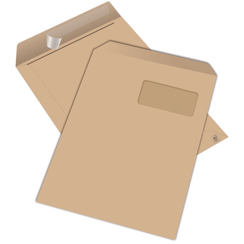 RAJA Pochette kraft brun Arès C4 229 x 324 mm 90g fenêtre 50 x 100 mm - autocollante - Lot de 250
