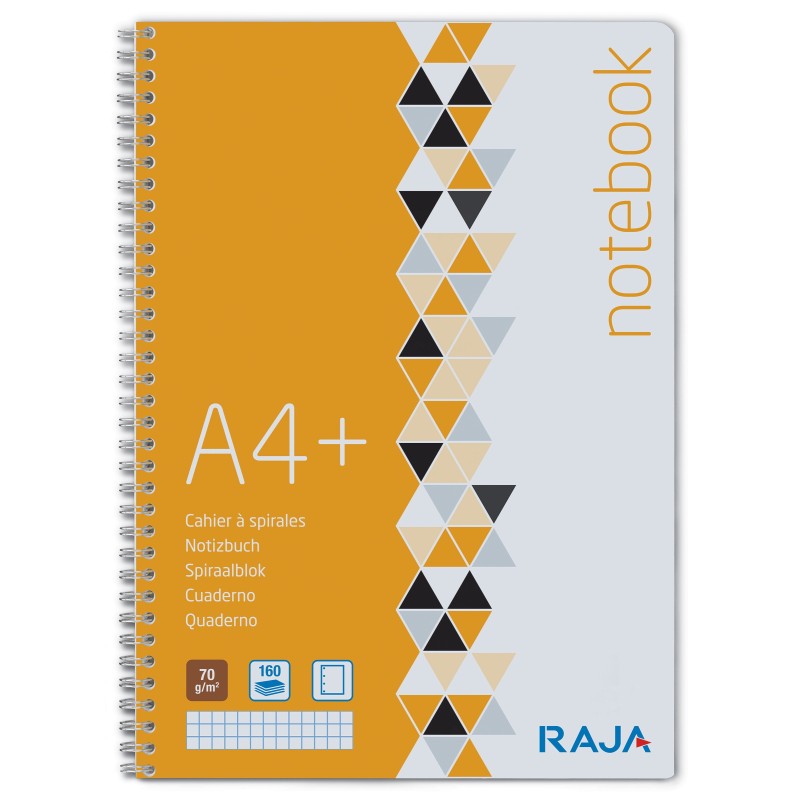 RAJA Cahier à spirale 23 x 29,7 cm - 70g - Perforé 4 trous - Petits carreaux 5x5 - 160 pages