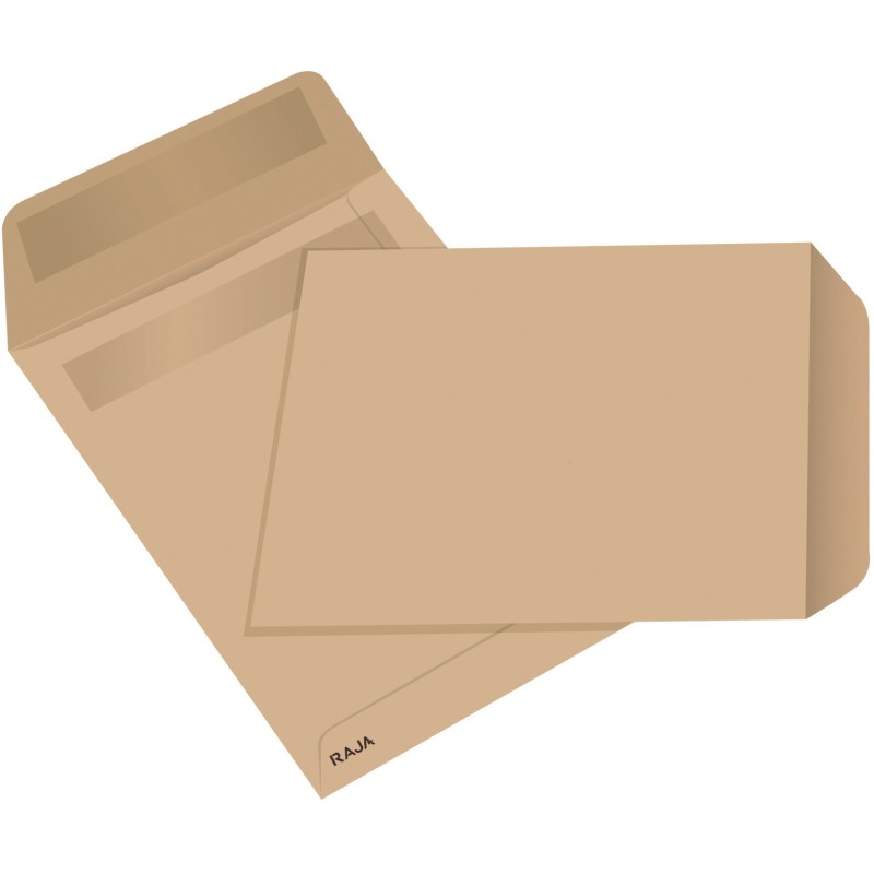 RAJA Pochette kraft brun Arès 260 x 330 mm 90g sans fenêtre - autocollante - Lot de 250