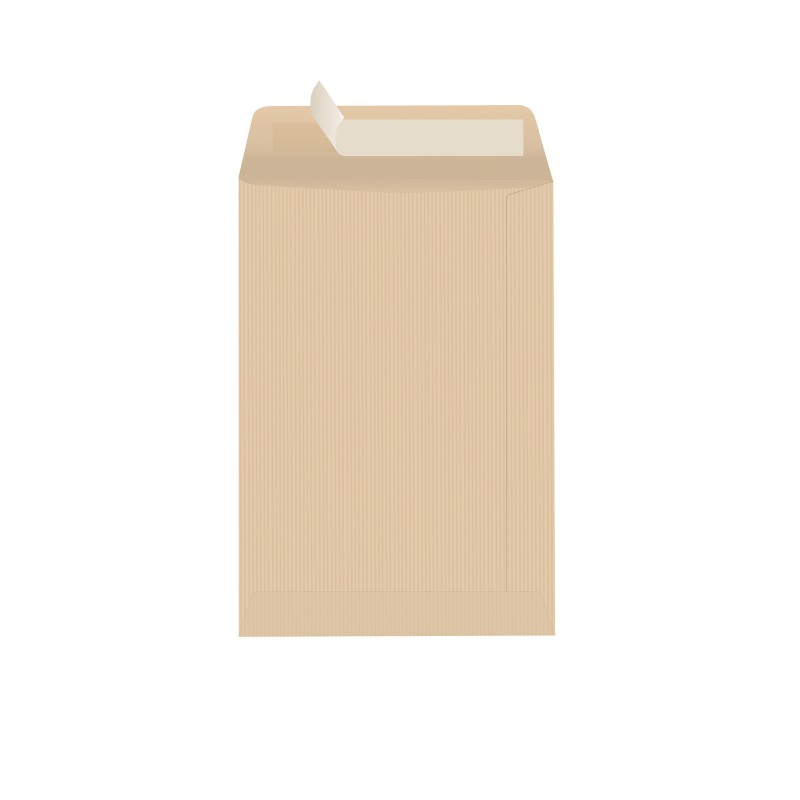 RAJA Pochette kraft brun Arès 260 x 330 mm 90g sans fenêtre - autocollante bande protectrice - Lot de 250