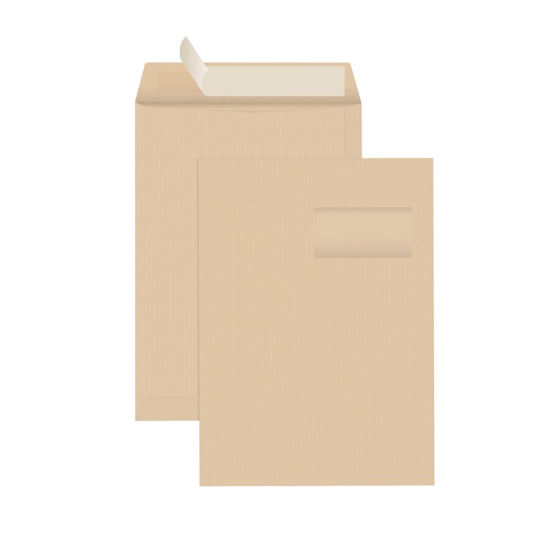 RAJA Pochette kraft brun Arès C4 229 x 324 mm 90g fenêtre 50 x 100 mm - autocollante bande protectrice - Lot de 250
