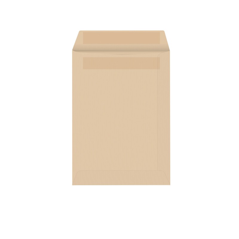 RAJA Pochette kraft brun Arès C4 229 x 324 mm 90g sans fenêtre - autocollante - Lot de 250