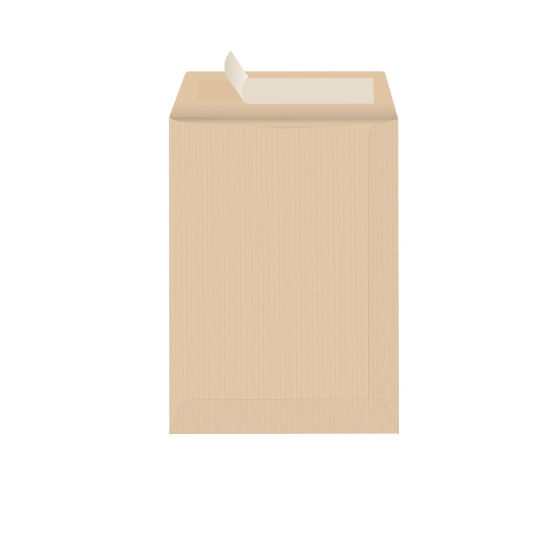 RAJA Pochette kraft brun Arès 176 x 250 mm 90g sans fenêtre - autocollante bande protectrice - Lot de 500