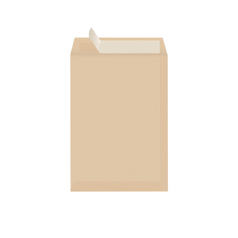 RAJA Pochette kraft brun Arès C4 229 x 324 mm 90g sans fenêtre - autocollante bande protectrice - Lot de 250