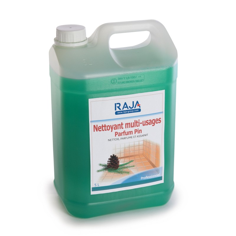RAJA Nettoyant multi-usages - Pin - Bidon 5L