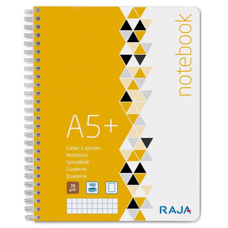 RAJA Cahier à spirale 16,8 x 21 cm - 70g - Perforé 2 trous - Petits carreaux 5x5 - 160 pages