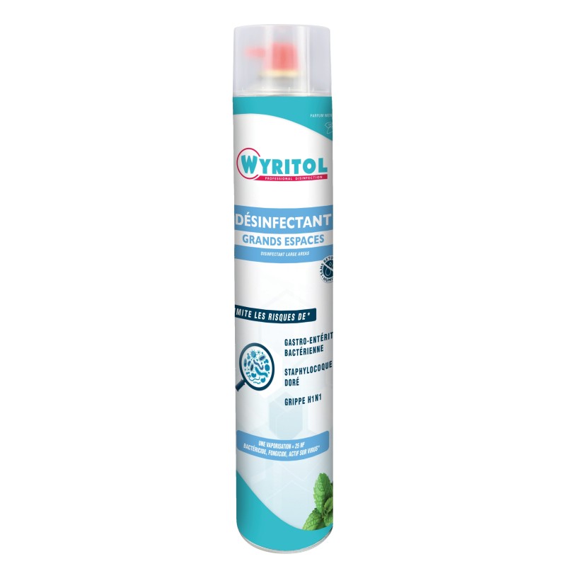 Wyritol Purificateur d'air bactéricide grands espaces parfum Menthe - Aérosol 750 ml