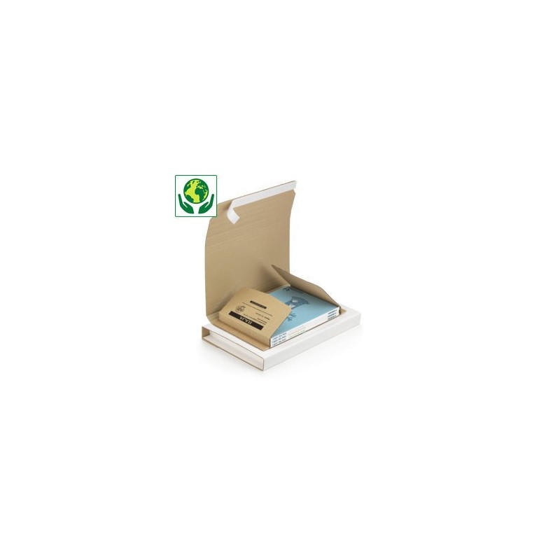 RAJA Étui emballage postal carton brun avec fermeture adhésive - 43 x 31 cm - Format A3 cadre, tableau - Lot de 25