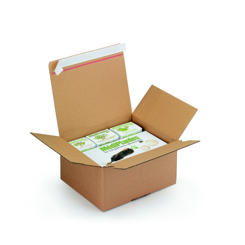 RAJA Caisse à montage instantané et fermeture adhésive en carton simple cannelure brun - L.26 x l.22 x H.13 cm - Lot de 20