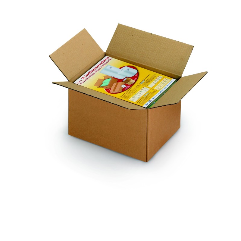 RAJA Caisse américaine carton simple cannelure - L.16 x l.12 x H.11 cm - Kraft brun - Lot de 25