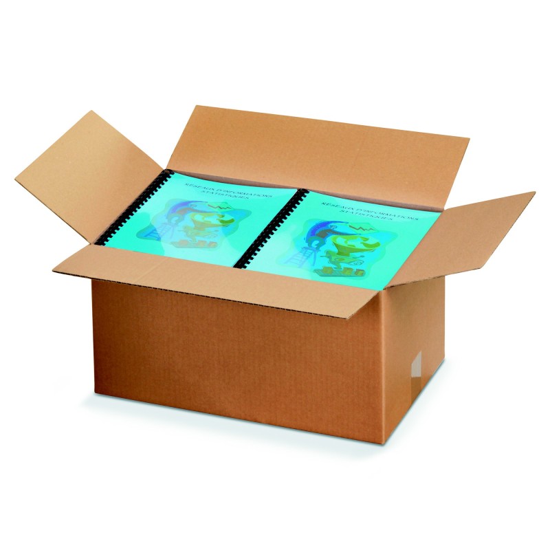 RAJA Caisse américaine carton simple cannelure - L.35 x l.22 x H.20 cm - Kraft brun - Lot de 25