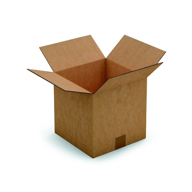 RAJA Caisse américaine carton double cannelure - L.25 x l.25 x H.25 cm - Kraft brun - Lot de 15