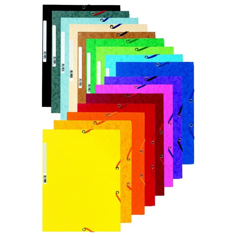 Exacompta Chemise Nature Future en en carte A4 - 250 feuilles - Coloris assortis - Lot de 50