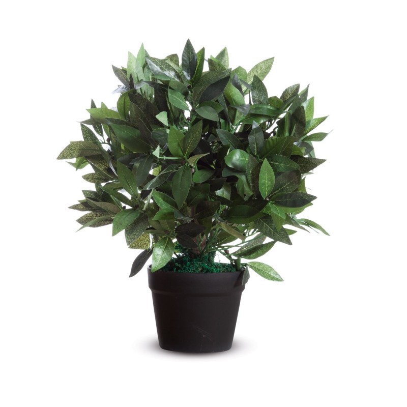Paperflow Plante artificielle Laurier Ht. 50 cm
