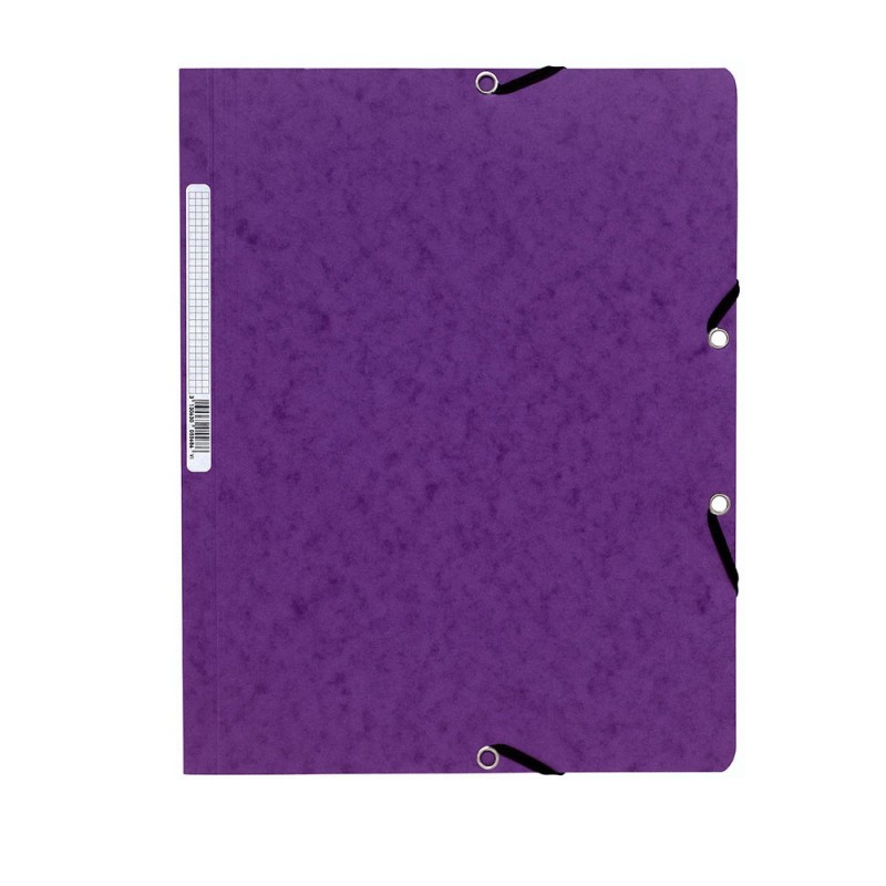 Exacompta Chemise Nature Future à fermeture élastique sans rabat 250 feuilles A4 400 g/m² en carte  violet - Lot de 25