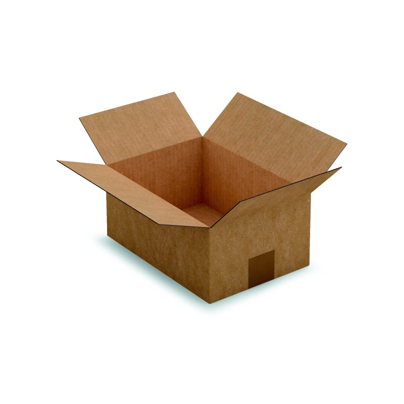 RAJA Caisse américaine carton simple cannelure - L.27 x l.19 x H.12 cm - Kraft brun - Lot de 25