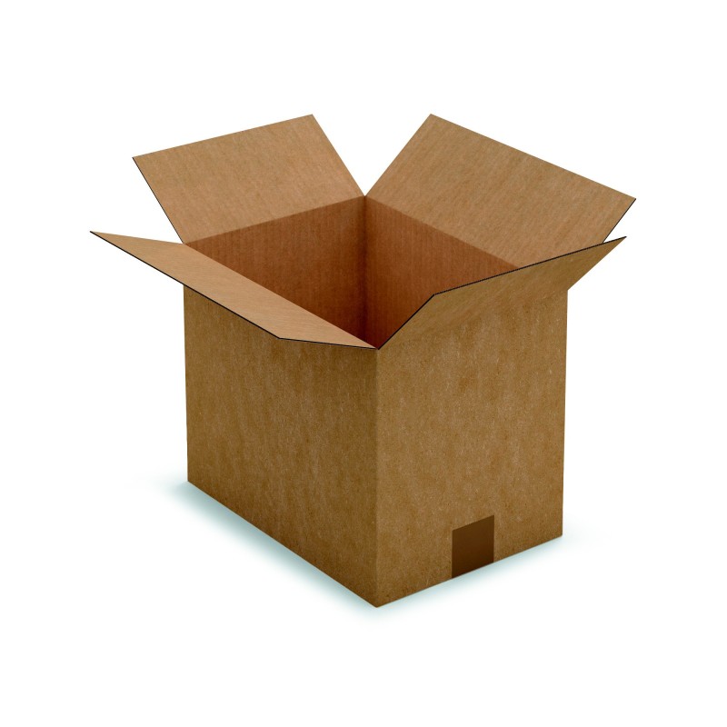 RAJA Caisse américaine carton simple cannelure - L.31 x l.22 x H.25 cm - Kraft brun - Lot de 25