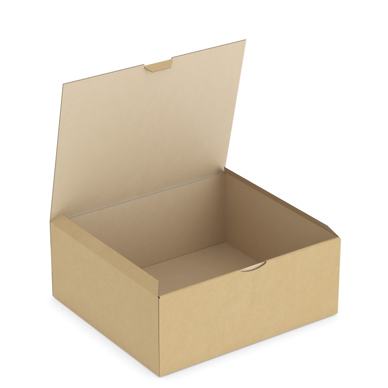 RAJA Boîte d'expédition brune en carton simple cannelure - L.33 x l.25 x H.8 cm - Lot de 50