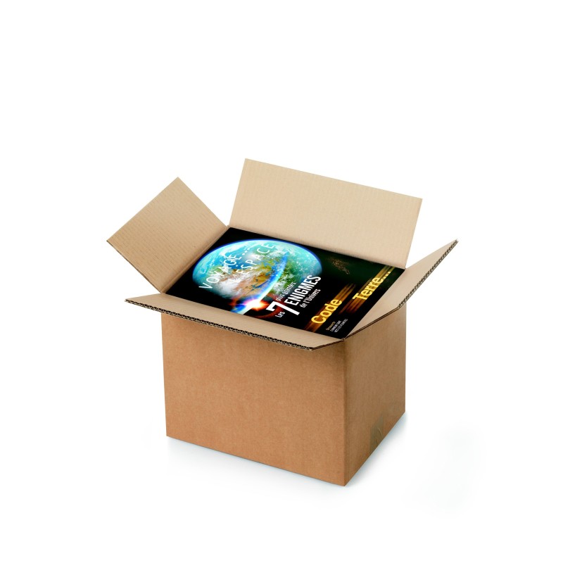 RAJA Caisse américaine carton double cannelure - L.31 x l.22 x H.25 cm - Kraft brun - Lot de 15