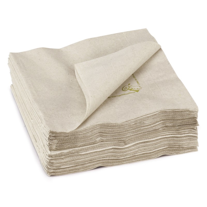 Serviettes de table recyclées 30 x 30 cm 2 plis - Lot de 100