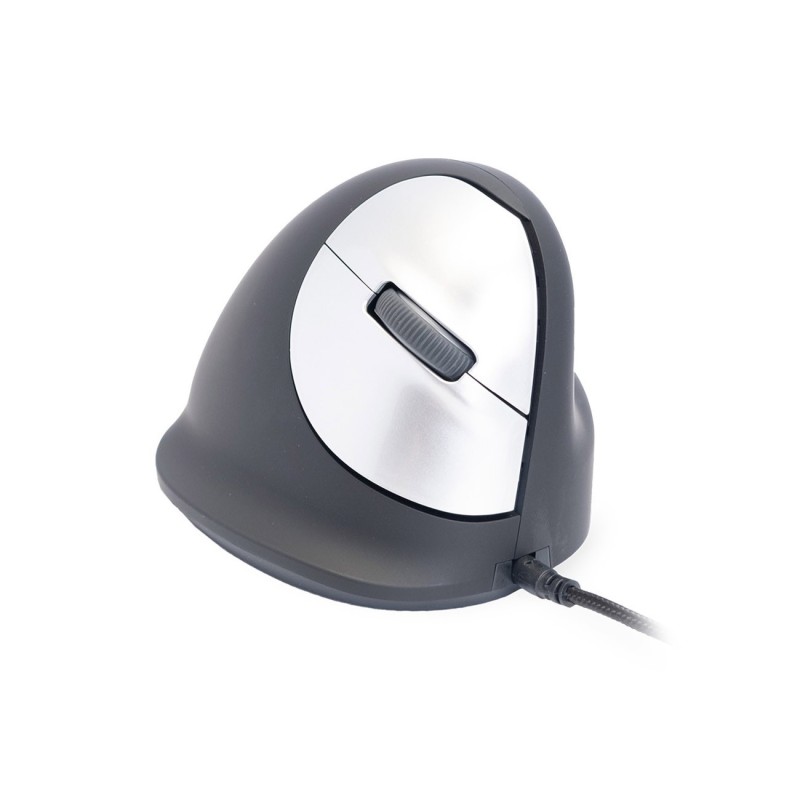 R-Go Tools Souris ergonomique verticale filaire droitier R-Go HE - Taille L - Noir et Argent