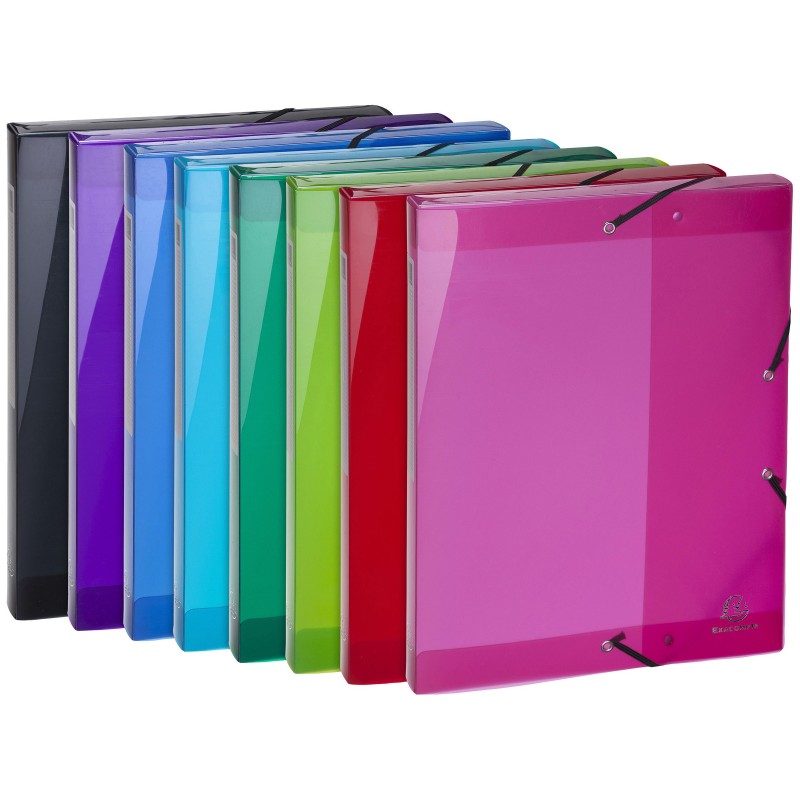 Exacompta Boîte de rangement A4 en polypropylène 250 feuilles- 250 x 330 mm - Coloris assortis - Lot de 8