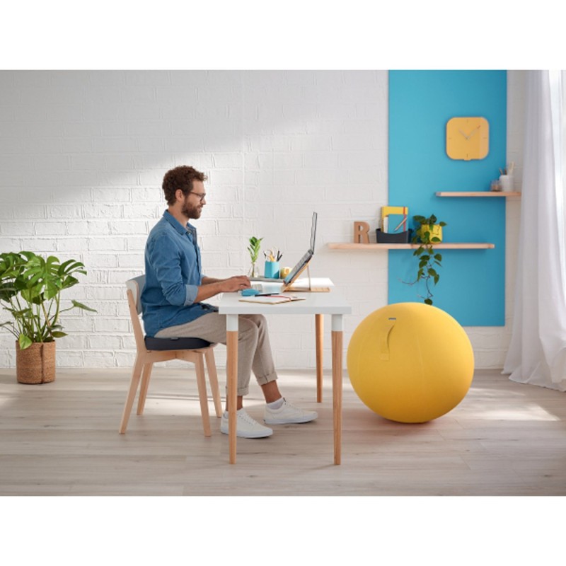 Leitz Coussin d'assise ergonomique Ergo Cosy - Gris
