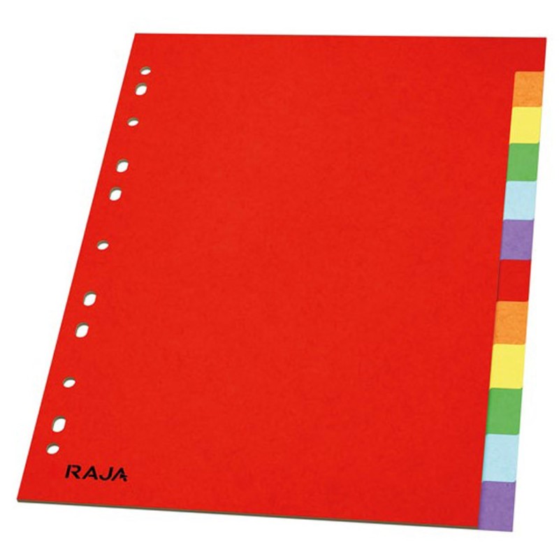 RAJA Intercalaires neutres A4 en carte standard 160g couleur - 12 onglets