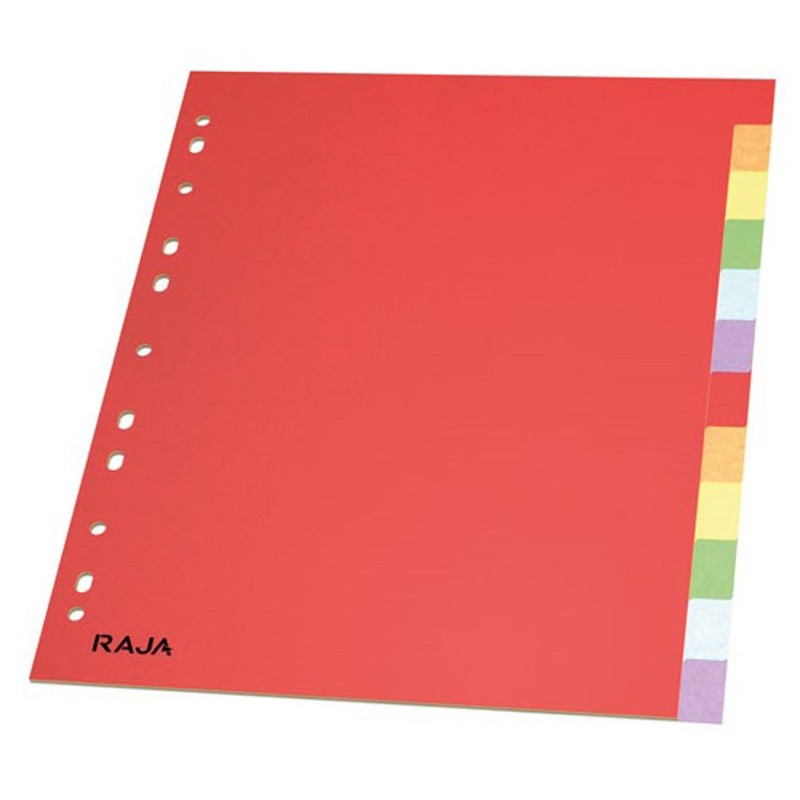 RAJA Intercalaires neutres A4+ en carte lustrée 225g couleur - 12 onglets