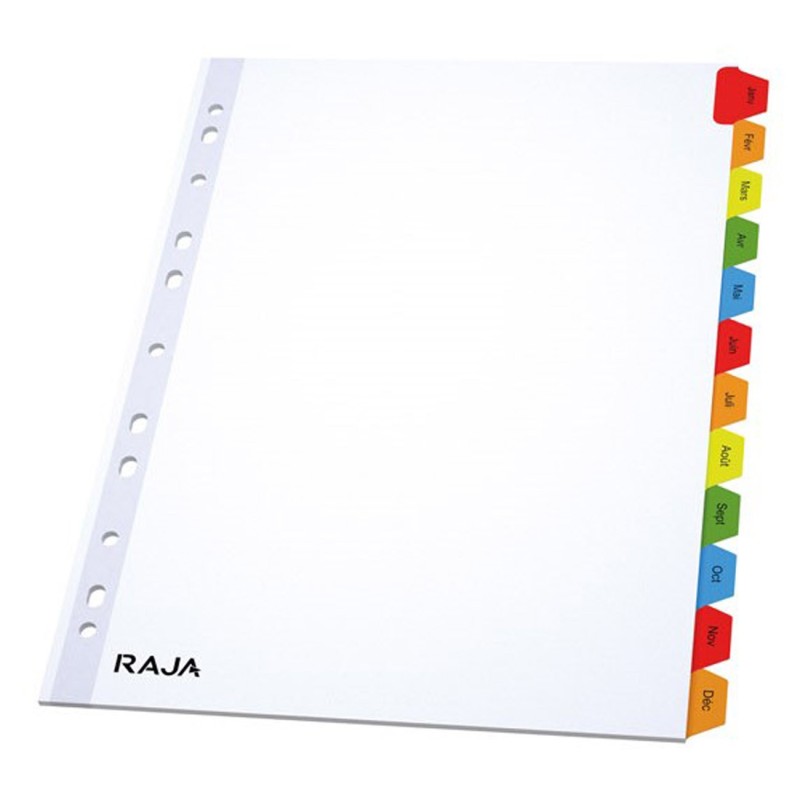 RAJA Intercalaires mensuels A4 en bristol 170g blanc - 12 divisions couleur