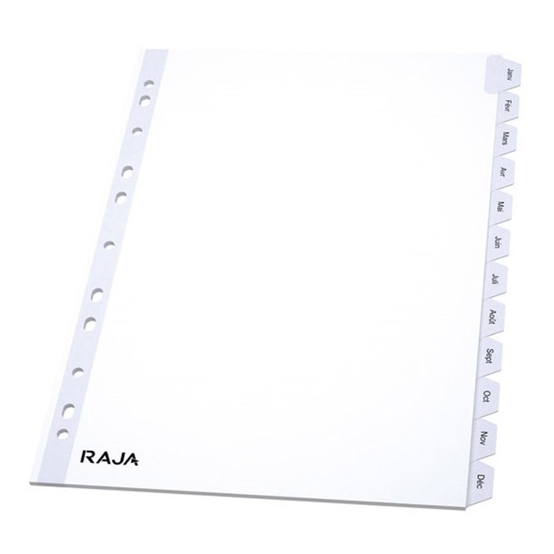 RAJA Intercalaires mensuels A4 en bristol 170g blanc - 12 divisions