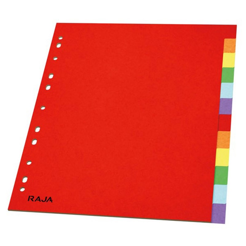 RAJA Intercalaires neutres A4+ en carte standard 160g couleur - 12 onglets