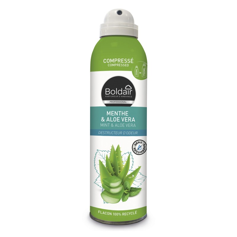 Boldair Désodorisant compressé Menthe et Aloe Vera- 250 ml