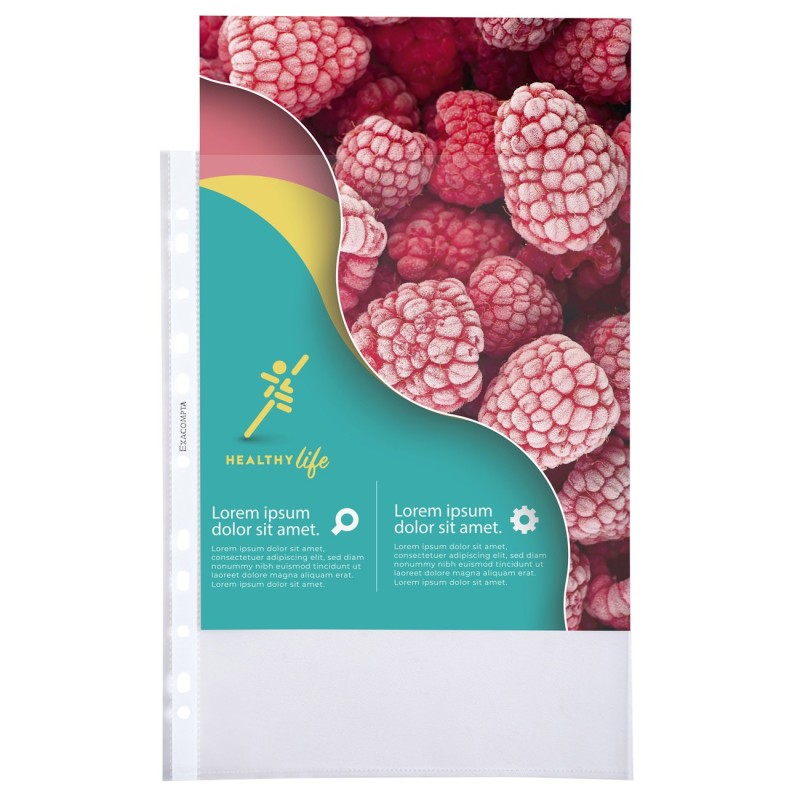 Exacompta Pochette perforée Qualité+ A4 polypropylène 7/100e grainée cristal - lot de 100