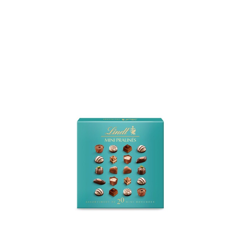 LINDT Boîte de mini pralines assortis - 100G