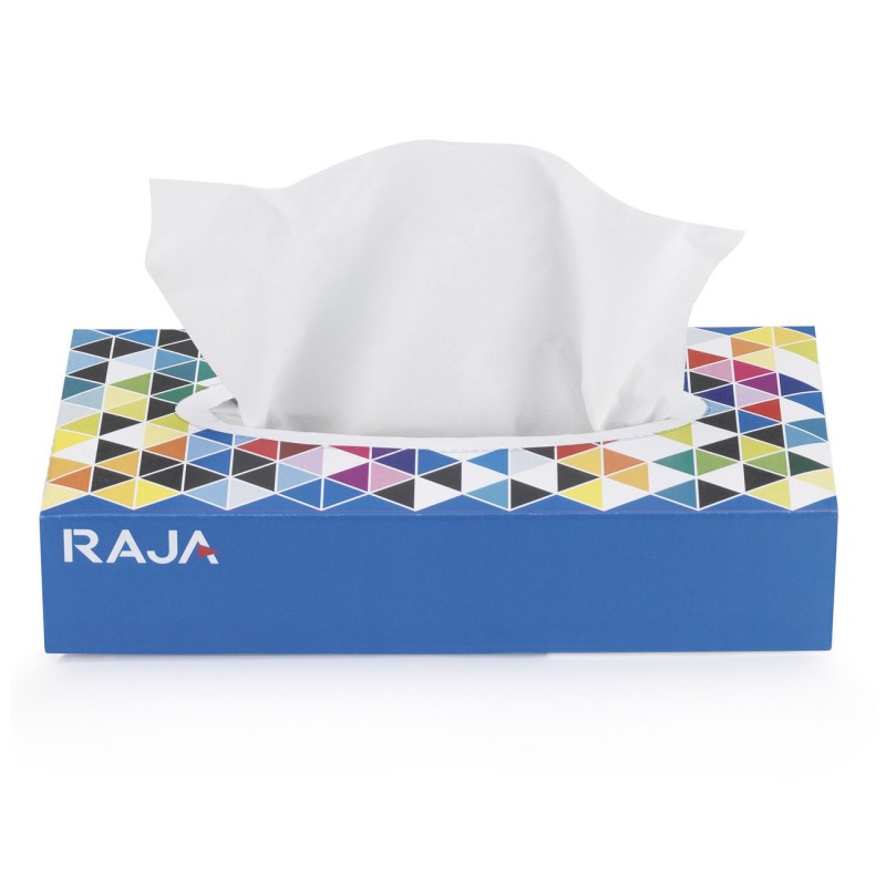 RAJA Mouchoirs double épaisseur boîte rectangulaire - 100 feuilles
