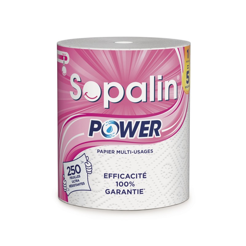 Sopalin Esuie-tout Power maxi bobine de 250 feuilles gaufrées blanches