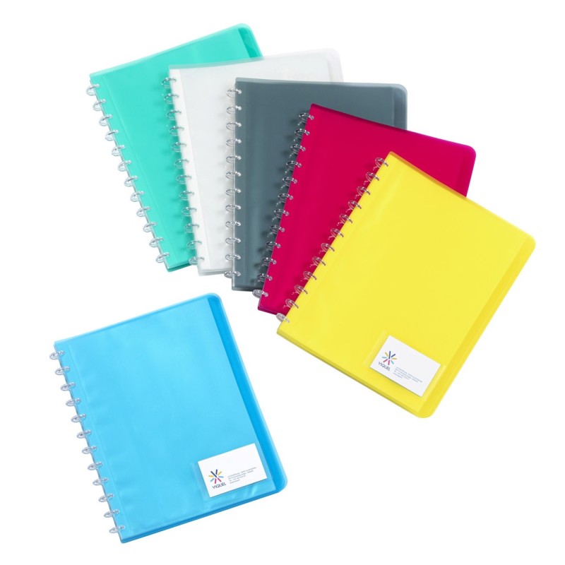 Viquel Porte vues Géode A4 - Polypropylène - 30 pochettes - 60 vues - Assortis