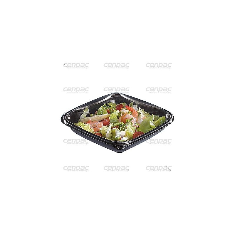 Boite crudipack apet - 750 cc 190x190x55 mm - colis de 280 fonds+couvercles colis de 280 fonds+couvercles
