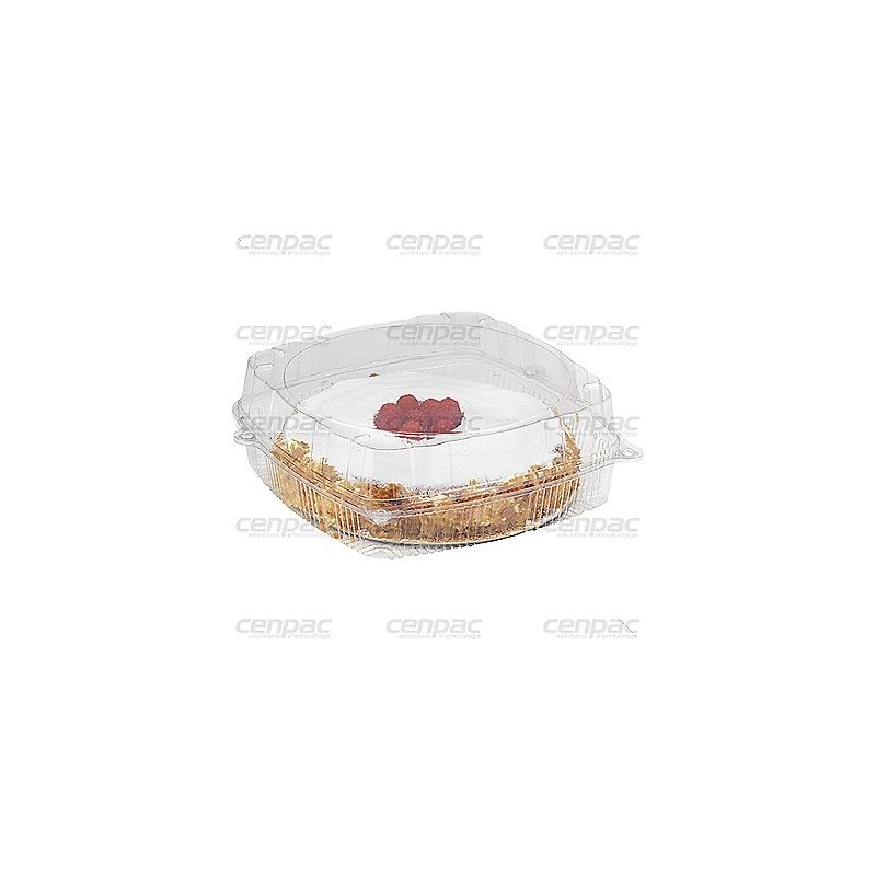 Boite de presentation pet transparent 164x95x98mm - colis de 480 - 1 colis de 480 boites en pet