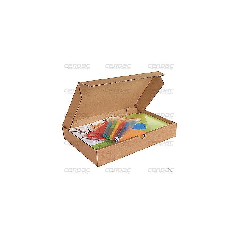 Boite brune carton extra plate 320 x 320 x 50mm - colis de 50 boites
