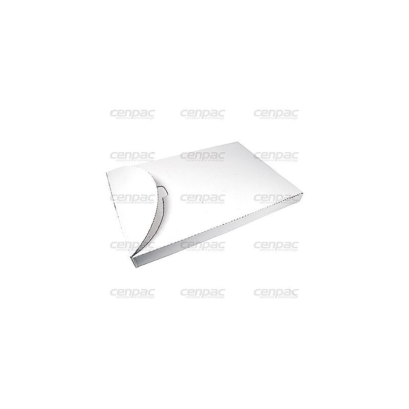 Papier alimentaire multicuisson silicone 41gr/m2 40x60cm - un colis de 500 feuilles - colis de 500 feuilles