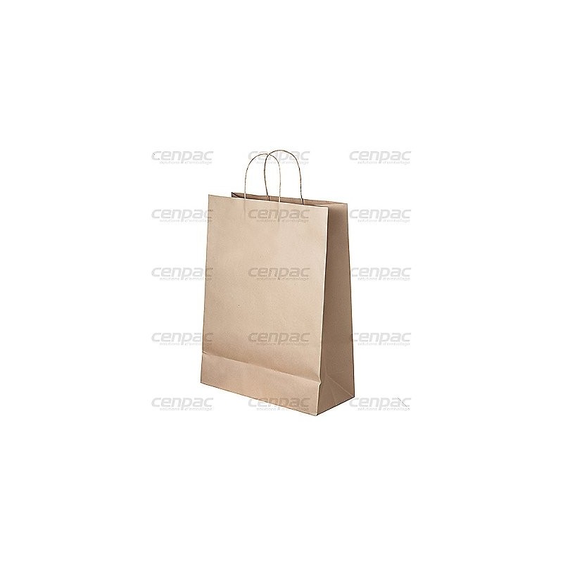Sac kraft poignee torsadee brun 110gr recycle 30x13x40,2cm - colis de 100 sacs